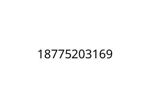 18775203169