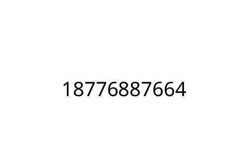 18776887664