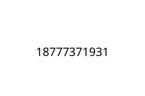 18777371931