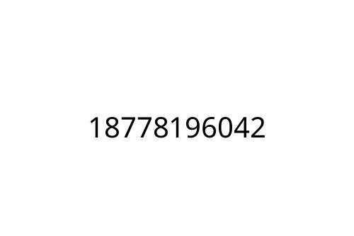 18778196042