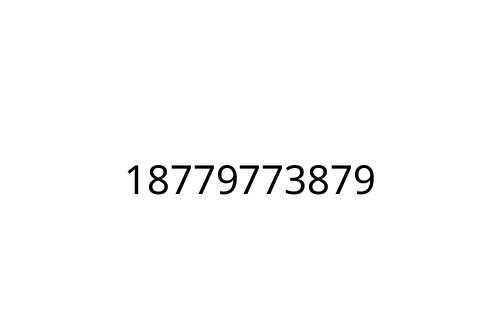 18779773879
