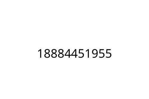 18884451955