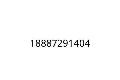 18887291404