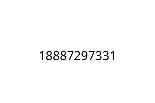 18887297331