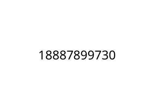 18887899730