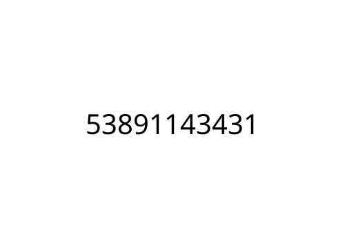 53891143431