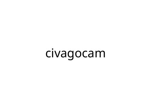 civagocam