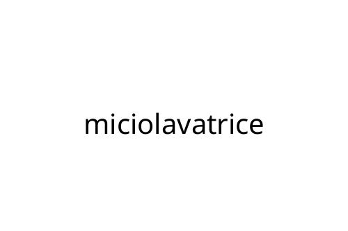 miciolavatrice