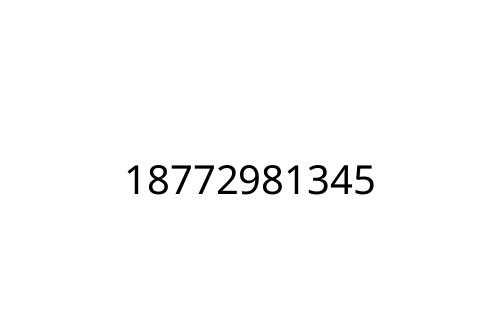18772981345