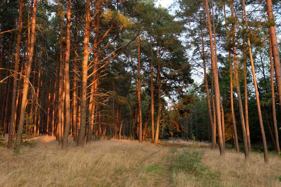 rejuvenation retreats