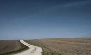 nivel 59 de 4 fotos 1 palabra