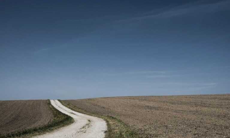 nivel 59 de 4 fotos 1 palabra