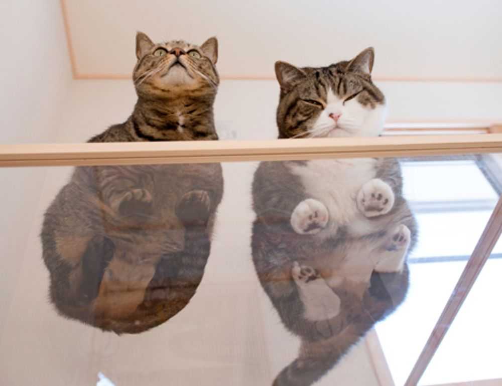 nudo de bruja tatuaje acuarela