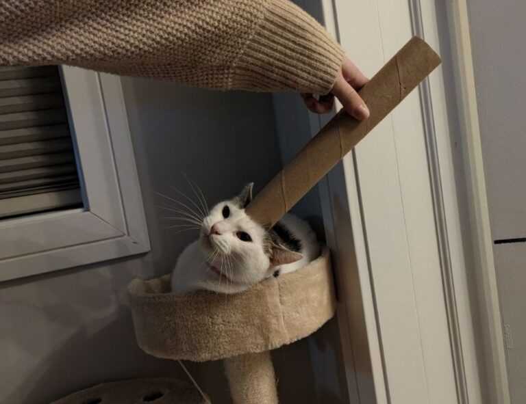 tatuaje pe deget cu initiale