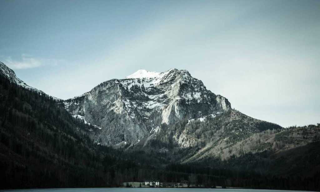 tony barber net worth