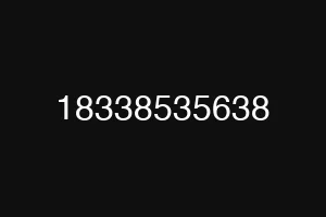 18338535638