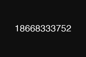 18668333752