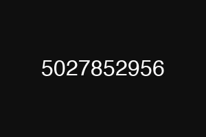 5027852956