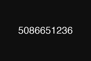 5086651236