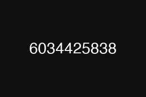 6034425838