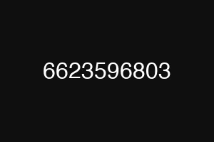 6623596803