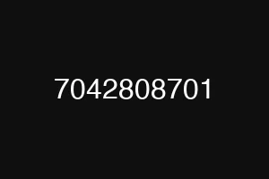 7042808701