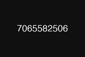 7065582506