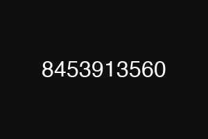 8453913560