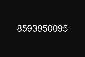 8593950095