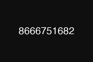 8666751682