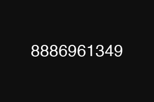 8886961349
