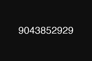 9043852929