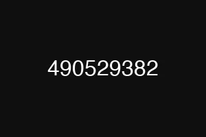 490529382