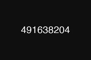 491638204