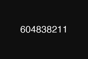 604838211
