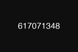 617071348
