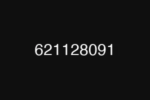 621128091