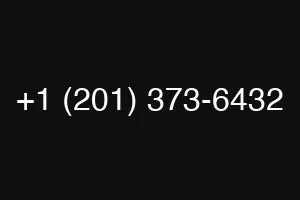 +1 (201) 373-6432