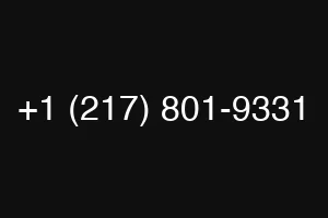 +1 (217) 801-9331