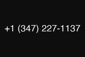 +1 (347) 227-1137