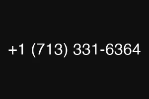 +1 (713) 331-6364