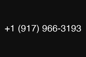+1 (917) 966-3193